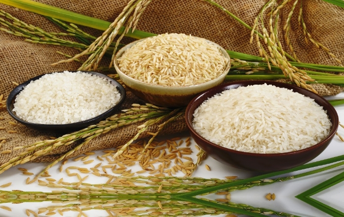 Rice